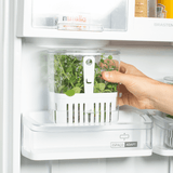 Organizador Pote para Temperos Frescos Clear Fresh 1,5 Litros